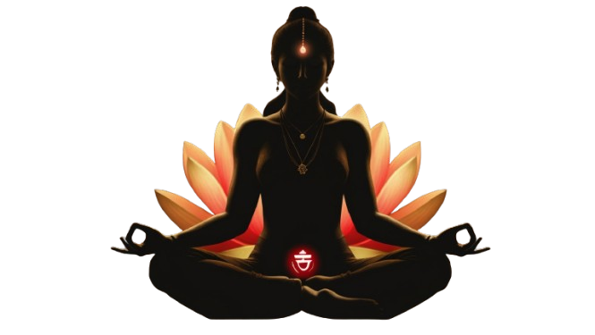 root chakra banner image